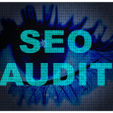 google site audit